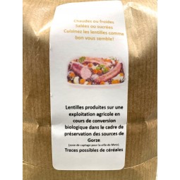 Lentilles Vertes